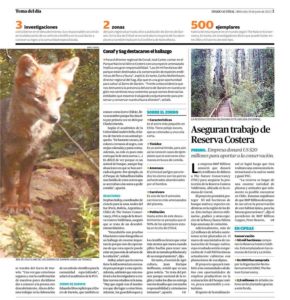 DiarioAustral19052016---Pagina-3