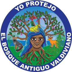 Bosque Antiguo Valdiviano